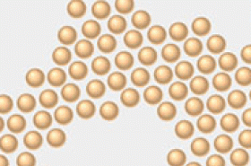 Charged and Neutral Atoms