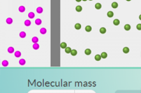 Diffusion, Osmosis and Active Transport
