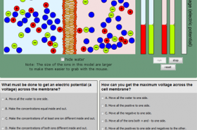 Diffusion, Osmosis and Active Transport