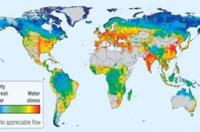 What Makes Water Special?